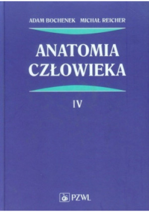 Anatomia człowieka Tom 4 - Adam Bochenek, Michał Reicher - książka  wyd. 2015
