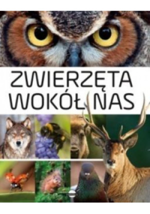 Zwierzęta wokół nas - książka  wyd. 2019