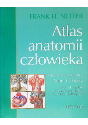 Atlas anatomii człowieka - Frank H. Netter - książka  wyd. 1997