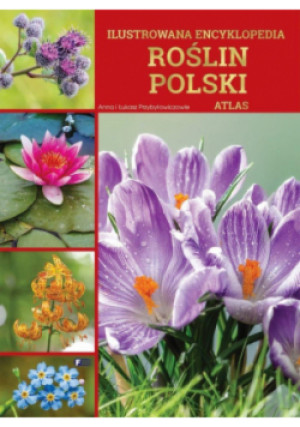 Ilustrowana encyklopedia roślin Polski. Atlas - książka  wyd. 2025