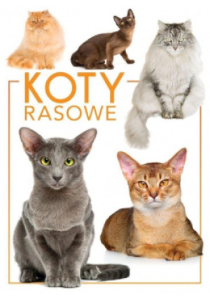 Koty rasowe - książka  wyd. 2020