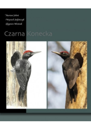 Czarna Konecka - Zbigniew Woźniak, Marcin Soboń, Wojciech Stefańczyk - książka  wyd. 2014