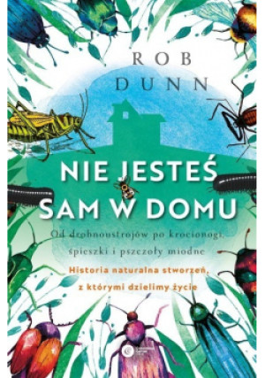 Nie jesteś sam w domu - Robert Dunn - książka  wyd. 2020