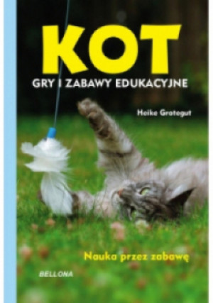 Kot Gry i zabawy edukacyjne - Heike Grotegut - książka  wyd. 2018