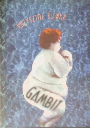 Gambit - Krzysztof Śliwka - książka  wyd. 1998