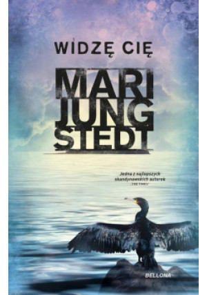 Widzę cię - Mari Jungstedt - książka  wyd. 2023