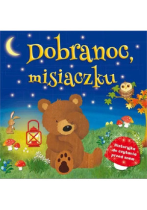 Dobranoc mój misiaczku - książka  wyd. 2012
