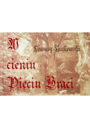 W cieniu pięciu braci - Tomasz Sankowski - książka  wyd. 2014