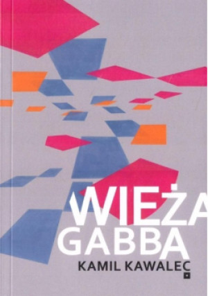 Wieża Gabba - Kamil Kawalewc - książka  wyd. 2022