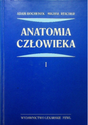 Anatomia człowieka Tom I - Adam Bochenek, Michał Reicher - książka  wyd. 1999