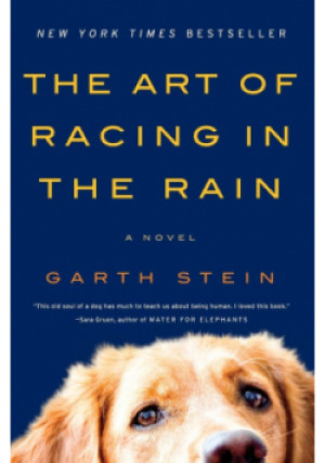 The Art of Racing in the Rain, The rain - Garth Stein - książka  wyd. 2009