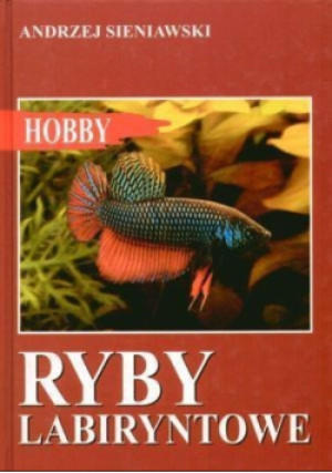 Ryby labiryntowe - Andrzej Sieniawski - książka  wyd. 2007