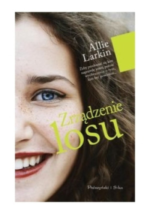 Zrządzenie losu - Allie Larkin - książka  wyd. 2015