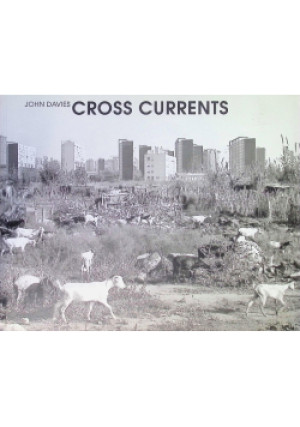 Cross Currents - John Davies - książka  wyd. 1992