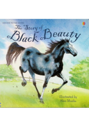 The Story of Black Beauty - Alan Marks - książka  wyd. 2012