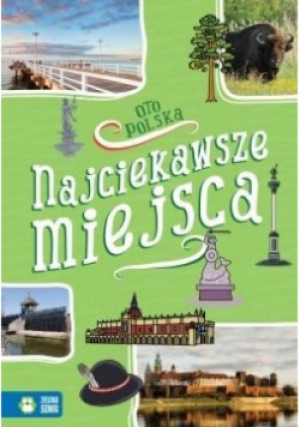 Oto Polska. Najciekawsze miejsca - Renata Falkowska - książka  wyd. 2019