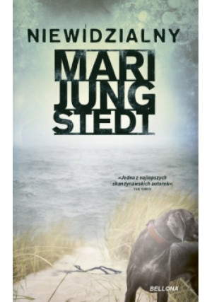 Niewidzialny - Mari Jungstedt - książka  wyd. 2023