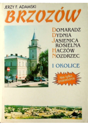 Brzozów i okolice - Jerzy F. Adamski - książka historyczna wyd. 1996