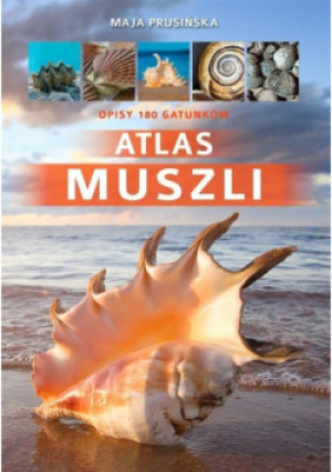 Atlas muszli - Maja Prusińska - książka  wyd. 2017