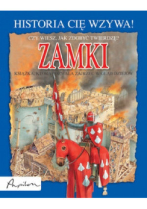 Zamki - książka  wyd. 2008