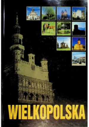 Wielkopolska - Wojciech Zdunek - książka  wyd. 2002