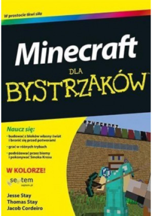 Minecraft dla bystrzaków - Jesse Stay - książka  wyd. 2016