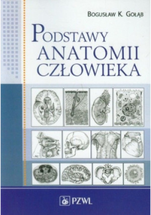 Podstawy anatomii człowieka - Bogusław Gołąb - książka  wyd. 2015