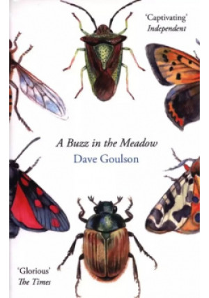 A Buzz in the Meadow - Dave Goulson - książka  wyd. 2014