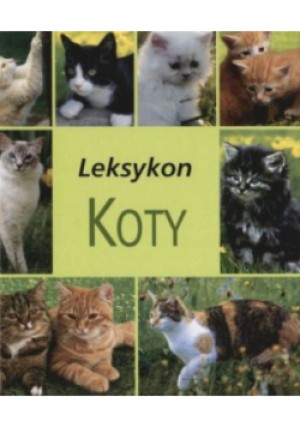 Leksykon koty - Przemysław Hodyra - książka  wyd. 2008