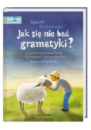 Jak się nie bać gramatyki - Marcin Brykczyński - książka  wyd. 2017