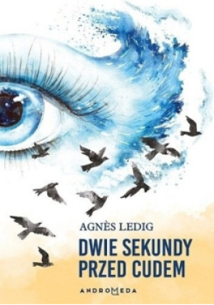 Dwie sekundy przed cudem - Agnes Ledig - książka  wyd. 2017