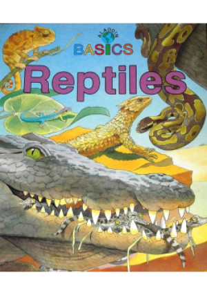 Basics Reptiles - Frank Brennan - książka  wyd. 1992