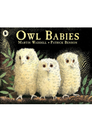 Owl Babies Story Book - Martin Waddell, Patrick Benson - książka  wyd. 1992