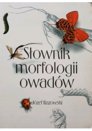 Słownik morfologii owadów - Józef Razowski - książka  wyd. 1996
