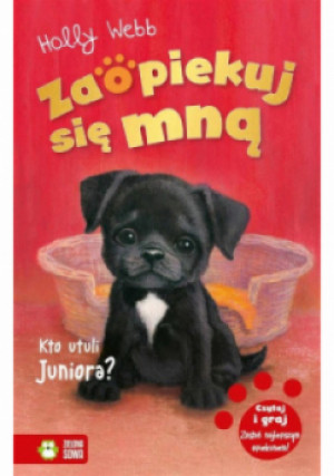 Kto utuli Juniora - Holly Webb - książka  wyd. 2022