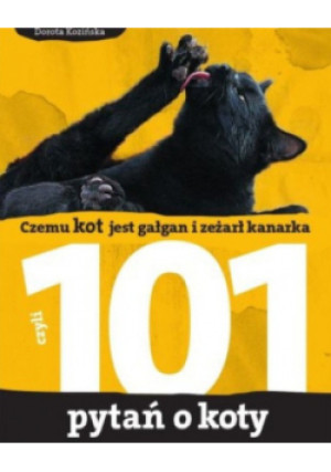 101 pytań o koty - Dorota Kozińska - książka  wyd. 2008