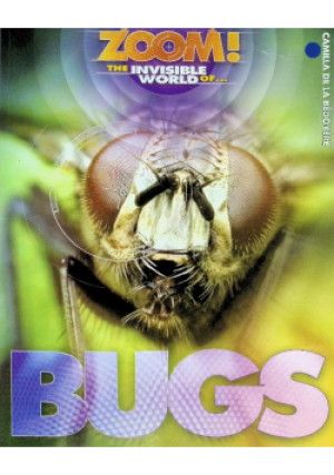 Bugs - Camila de la Bedoyere - książka  wyd. 2011