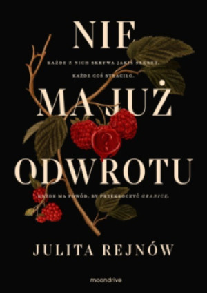 Nie ma już odwrotu - Julita Rejnów - książka  wyd. 2025