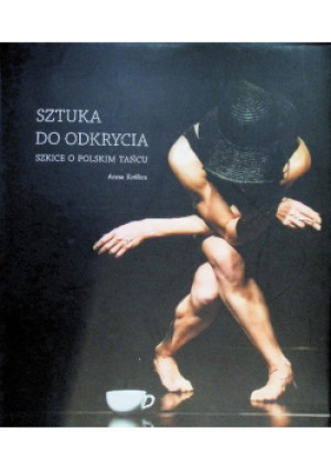 Sztuka do odkrycia - Anna Królica - książka  wyd. 2011