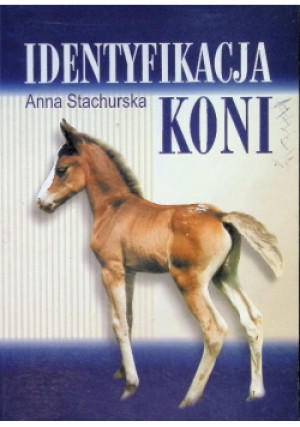 Identyfikacja koni - Anna Stachurska - książka  wyd. 2002