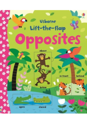 Lift-the-flap opposites - książka  wyd. 2020
