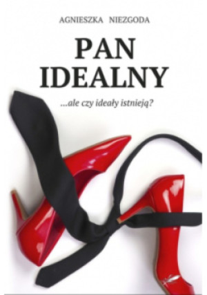 Pan Idealny - Agnieszka Niezgoda - książka  wyd. 2021
