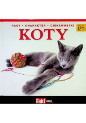 Album koty - książka  wyd. 2011