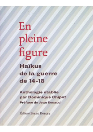 En pleine figure - Dominique Chipot - książka  wyd. 2016