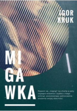 Migawka - Igor Kruk - książka  wyd. 2017