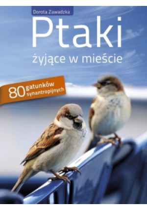Ptaki żyjące w mieście - Dorota Zawadzka - książka  wyd. 2011