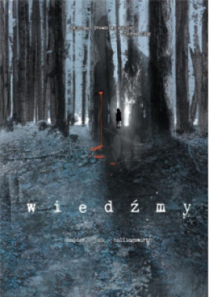 Wiedźmy - Scott Snyder - książka  wyd. 2017