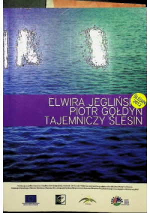 Tajemniczy ślesin - Piotr Gołdyn, Elwira Jeglińska - książka  wyd. 2012