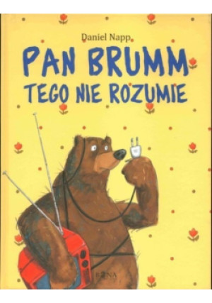 Pan Brumm tego nie rozumie - Daniel Napp - książka  wyd. 2011