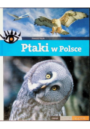 Ptaki w Polsce - Sławomir Wąsik - książka  wyd. 2011